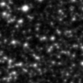 2024bxi_image