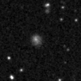 2024cao_image