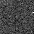 2024cbk_image