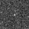 2024cbm_image
