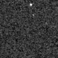 2024cik_image