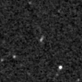 2024ckf_image