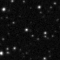 2024ckg_image