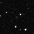 2024coa_image