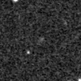 2024coh_image