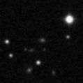 2024coi_image