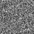 2024csw_image