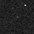 2024cub_image