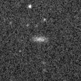 2024cwf_image