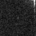 2024czi_image
