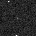 2024czj_image