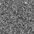 2024dal_image