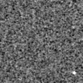 2024dbr_image