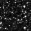 2024dce_image