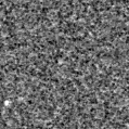 2024dcr_image