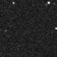 2024ddl_image
