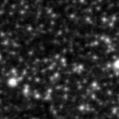 2024ddo_image
