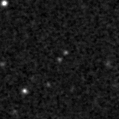 2024dfm_image