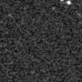 2024dgu_image
