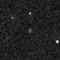2024dmj_image