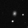 2024dnr_image