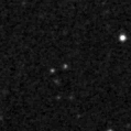 2024dob_image