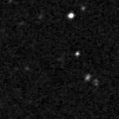 2024dpo_image