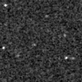 2024dqk_image