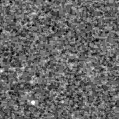 2024drl_image