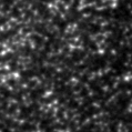 2024ecs_image