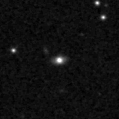 2024ele_image