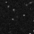2024ell_image