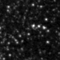 2024eyg_image