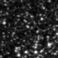 2024eym_image