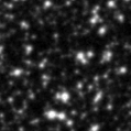 2024eyn_image