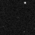 2024fel_image