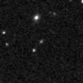 2024ffk_image