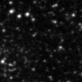 2024fgr_image