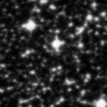 2024flm_image