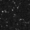 2024flt_image
