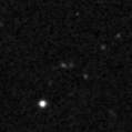 2024foc_image