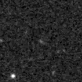 2024foo_image