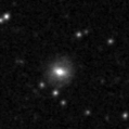 2024fsf_image
