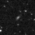 2024fsm_image