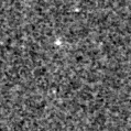 2024ftg_image