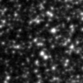 2024fxc_image
