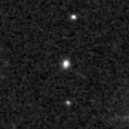 2024gbm_image