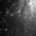2024ggi_image