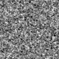 2024gho_image