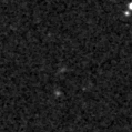 2024gnt_image